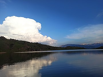 Եղեգնալիճ