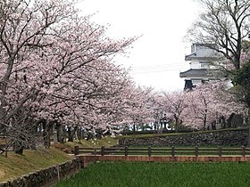 지도