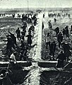 1965-4 1965年 新疆疏勒县牙甫泉一人民公社进行农田规划