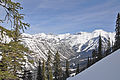 Paesaggio innevato