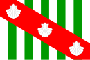 Drapeau de Canavieiras