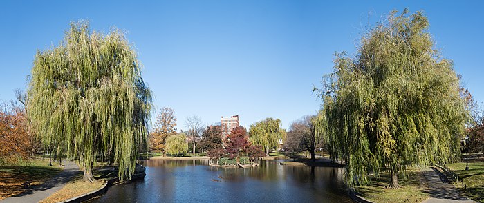 Un petit étang bordé de deux beaux arbres. Sur les berges serpentent des petits chemins.