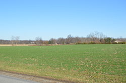 Farmland between Cecil and the Maumee River