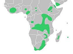 distribución natural