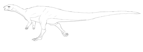 Dysalotosaurus lettowvorbecki restoration