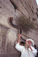 A Jewish Israeli man blows the shofar at the Western Wall, Jerusalem.