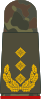 Generalleutnant (بدلة الحقل)