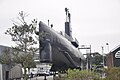 Bugansicht der Tonijn im Marinemuseum Den Helder