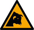 W034 — bull