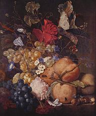 Flowers, Fruits and Insects