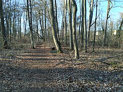 Lenné-Park am Schloss Lanke