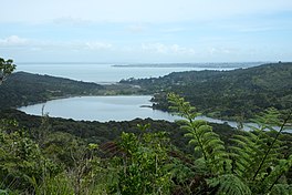 Looking south, the reservoir from the Rainforest Express bush tram line.