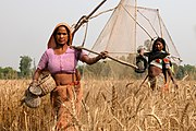 Tharu women in southwest Nepal with hexagonal hand lift nets