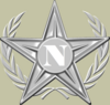 Wikipedians of Navarre Creation Award (Silver Class)