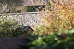 Wall, South of Summerhouse, Up to South East Angle