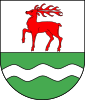 Coat of arms of Kołczygłowy