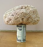 A 15-centimeter (5.9 in) piece of pumice supported by a rolled-up U.S. 20-dollar bill demonstrates its very low density.