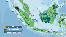 Color topographical map of Indonesia, Malaysian peninsula, Strait of Malacca, South China Sea