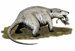 R. robustus miközben egy Psittacosaurus fiókával táplálkozik