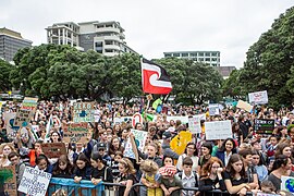 School strike for climate in Wellington on 15 March 2019