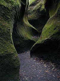 Mousse dans une gorge du parc national de Shikotsu-Tōya en octobre 2004.