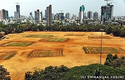 young men playing cricket