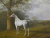 White Horse in Pasture, 1806-1807, oil on canvas, Oskar Reinhart Foundation, Winterthur