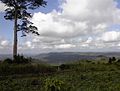 Hills overlooking Aburi