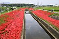 2018年11月30日 (金) 12:52時点における版のサムネイル