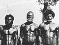 Image 51Men from Bathurst Island, 1939 (from Aboriginal Australians)