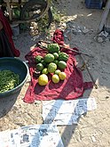 Bijora - cidra para venda em Bujepur, Kutch, Guzerate, Índia.