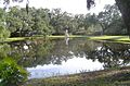 Atalaya and Brookgreen Gardens