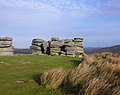 Combestone tor, by Herbythyme