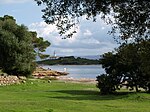 Platja d'Alcanada (Alcúdia)