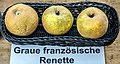 Graue Französische Renette