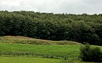 Hales Castle: a ringwork and associated earthworks on Coles Hill