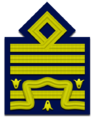 Shoulder insignia of a generale di squadra aerea.