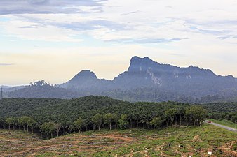 Mount Madai, Sabah, Malaysia