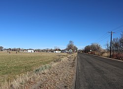 Looking north along Jachim Avenue