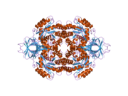 2gse: Crystal Structure of Human Dihydropyrimidinease-like 2