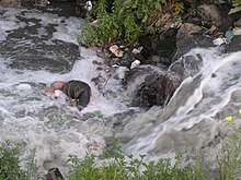 Pollution flowing in the River Ganges, including plastics, cloths, and waste products.