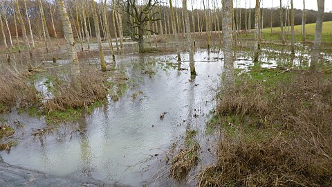 Chambeugle, pont de la D 16, vue vers l'amont, 12 février 2014, inondations saisonnières d'une année très mouillée...