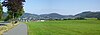 Sauerland-Landschaft mit Olsberg-Bigge, dem Borberg (mittig) und dem Olsberg (rechts)