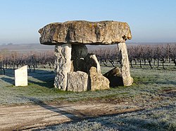 Image illustrative de l’article Dolmen de Saint-Fort-sur-le-Né