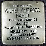 Stolperstein für Wilhelmine Rosa Hahlo (Kastanienalle 6)