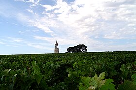 Image illustrative de l’article Haut-médoc