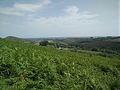 Paysage depuis le sentier montant au sommet de la Rhune avec en premier plan un champ de fougère et en fond le Pays basque.