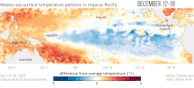 Animated map showing the evolution of sea surface temperature anomalies
