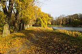 Листопад в Онуфріївському парку