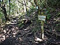 The eighth station of Mt. Kaimon (“station” is unit of itinerary of climbing from the base to the top. Regardless mountain height, all itineraries are divided into 10.)